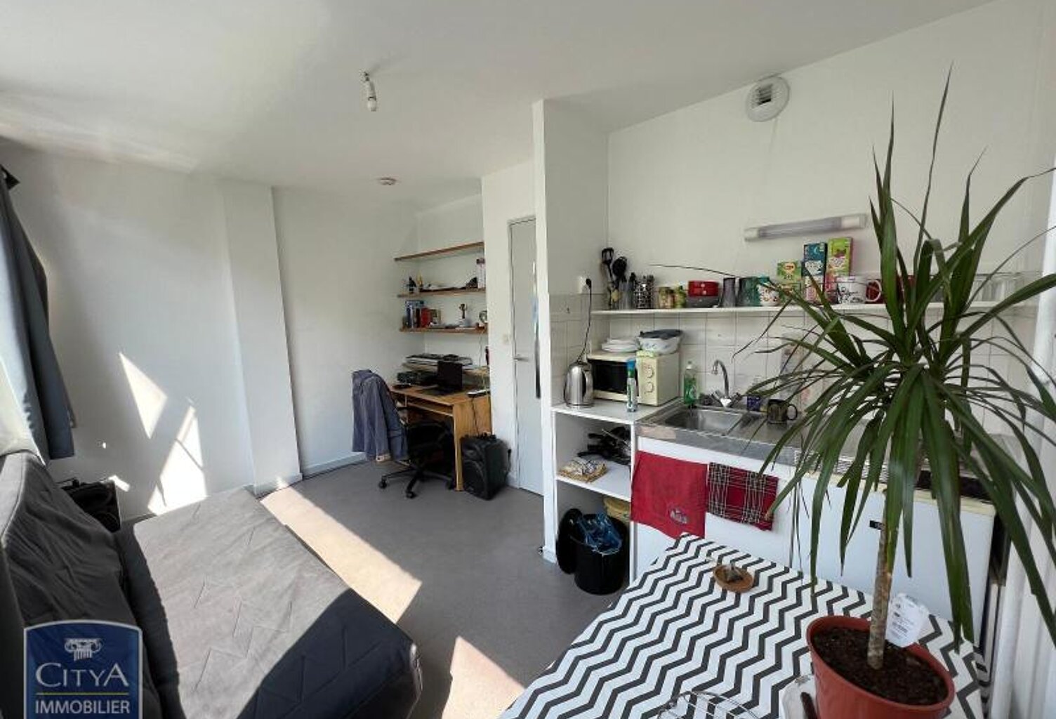 Location appartement 1 pièce 16 m² à Tours (37000) — photo 1