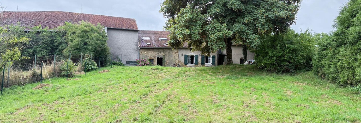 Maison 9 Pièces 250 m² à vendre à Grimonviller (54115)