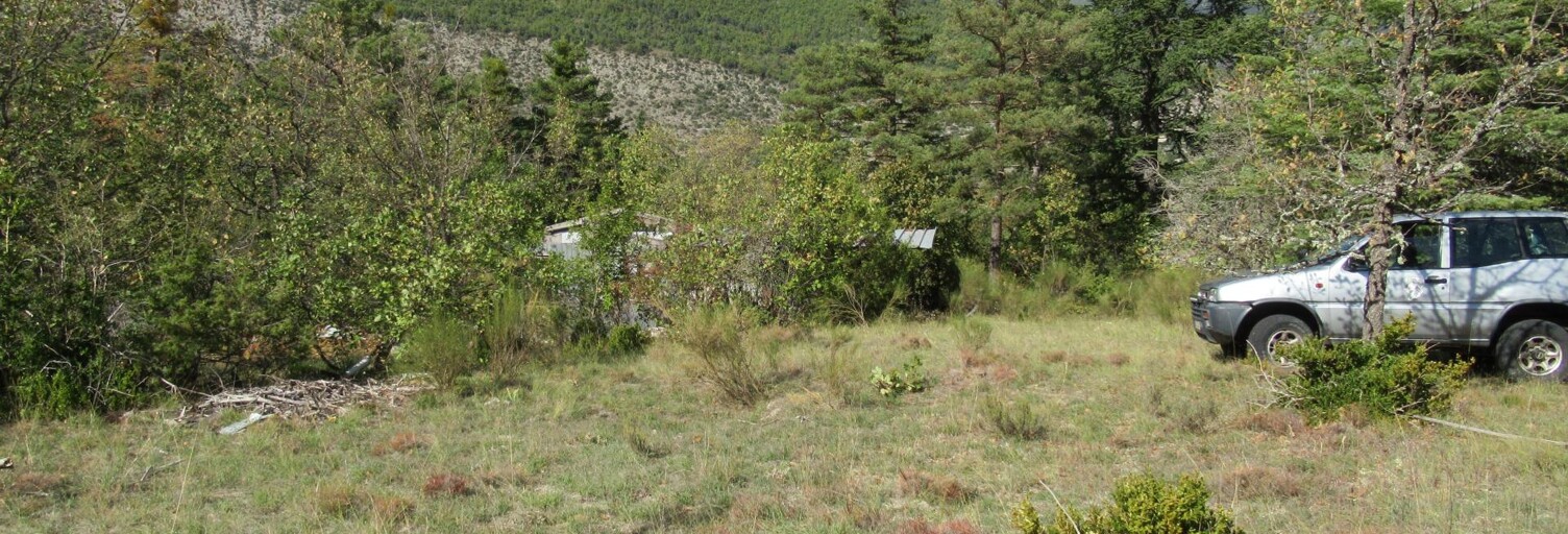 Terrain  9000 m² à vendre à Entrevaux (04320)