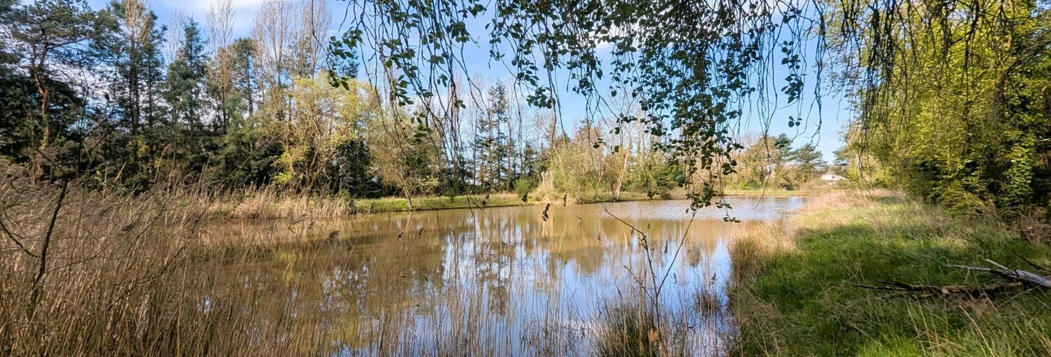 Terrain  11472 m² à vendre à Athée-sur-Cher (37270)