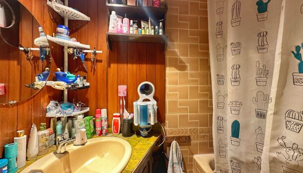 Appartement 4 pièces  à vendre Grenoble 38100