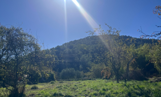 Maison 120 m² à construire Tourrette-Levens (06690)