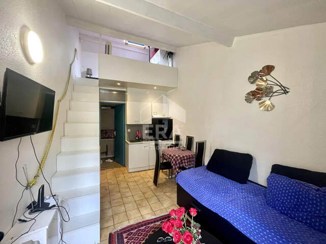 PAU : Appartement T1 bis de 18m² — photo du bien