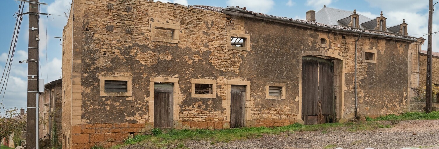 Maison 1 Pièce 350 m² à vendre à Longuyon (54260)