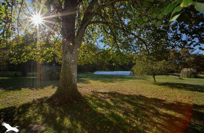 Vente maison 8 pièces 350 m² Saint-Christoly-de-Blaye (33920) — photo 3