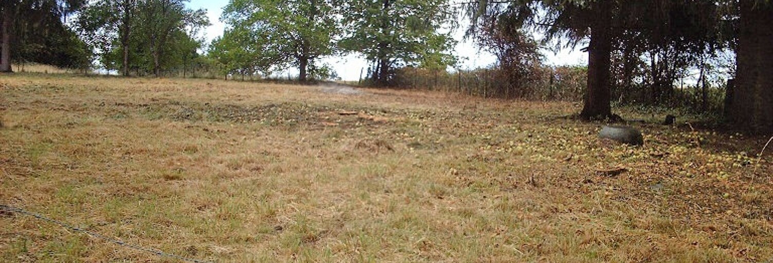 Terrain  1224 m² à vendre à Launois-sur-Vence (08430)