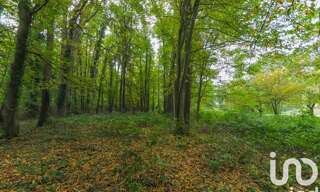 Terrain  5000 m² à vendre à Viarmes (95270)