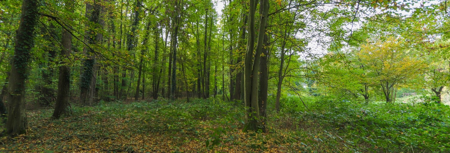 Terrain  5000 m² à vendre à Viarmes (95270)