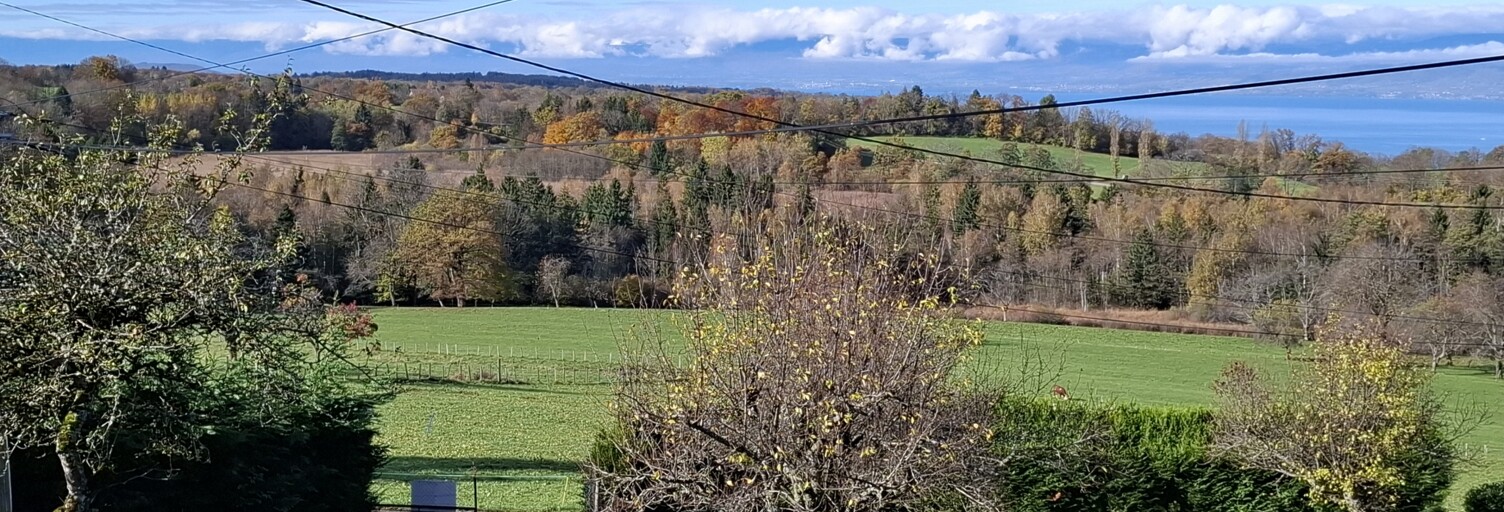 Terrain  787 m² à vendre à Saint-Paul-en-Chablais (74500)