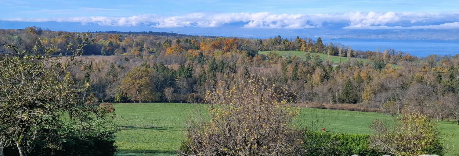 Terrain  787 m² à vendre à Saint-Paul-en-Chablais (74500)