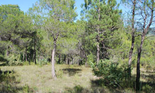 Terrain  946 m² à vendre à Salernes (83690)