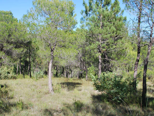 TERRAIN VIABILISE SALERNES — photo du bien