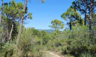 Terrain  943 m² à vendre à Salernes (83690)