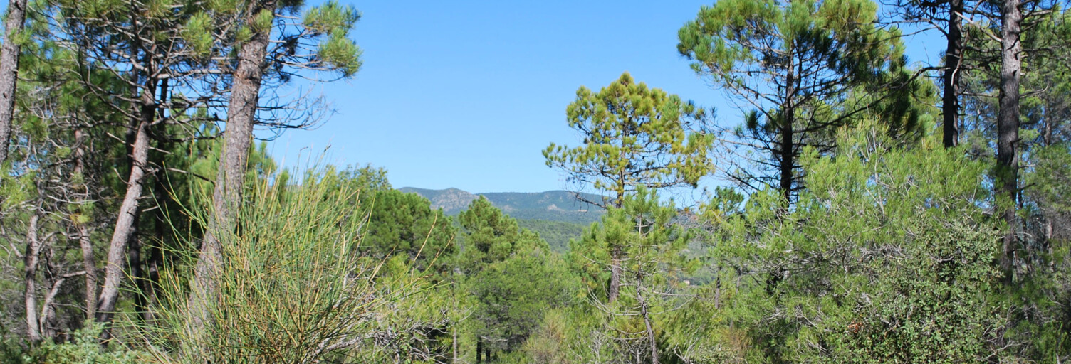 Terrain  943 m² à vendre à Salernes (83690)