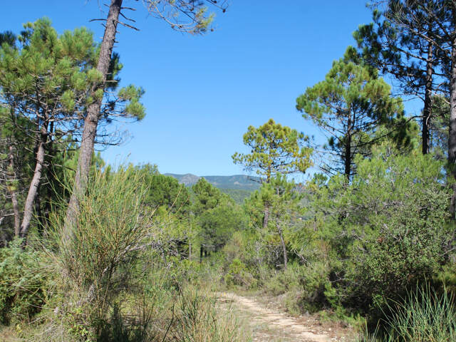 SALERNES  TERRAIN CONSTRUCTIBLE — photo du bien