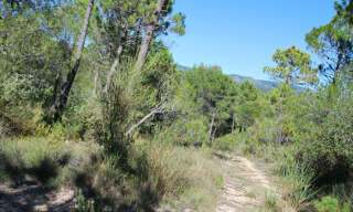 Terrain  1072 m² à vendre à Salernes (83690)