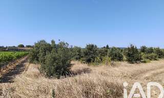 Terrain  6160 m² à vendre à Sainte-Cécile-les-Vignes (84290)