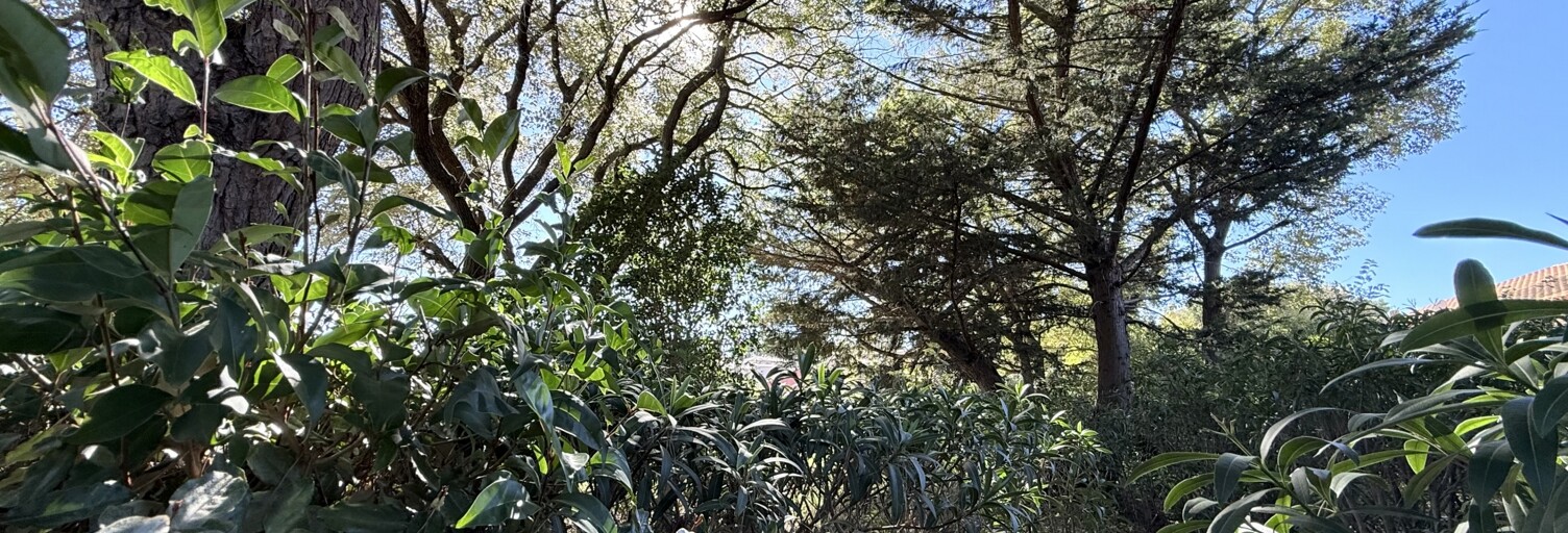 Appartement 2 Pièces 40 m² à vendre à Sanary-sur-Mer (83110)