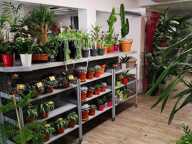 Vente Boutique/Local commercial 155 m&sup2; — photo 2