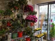Vente Boutique/Local commercial 155 m&sup2; — photo 4