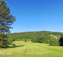 Photo Terrain Tendon