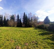 Photo Terrain Tendon