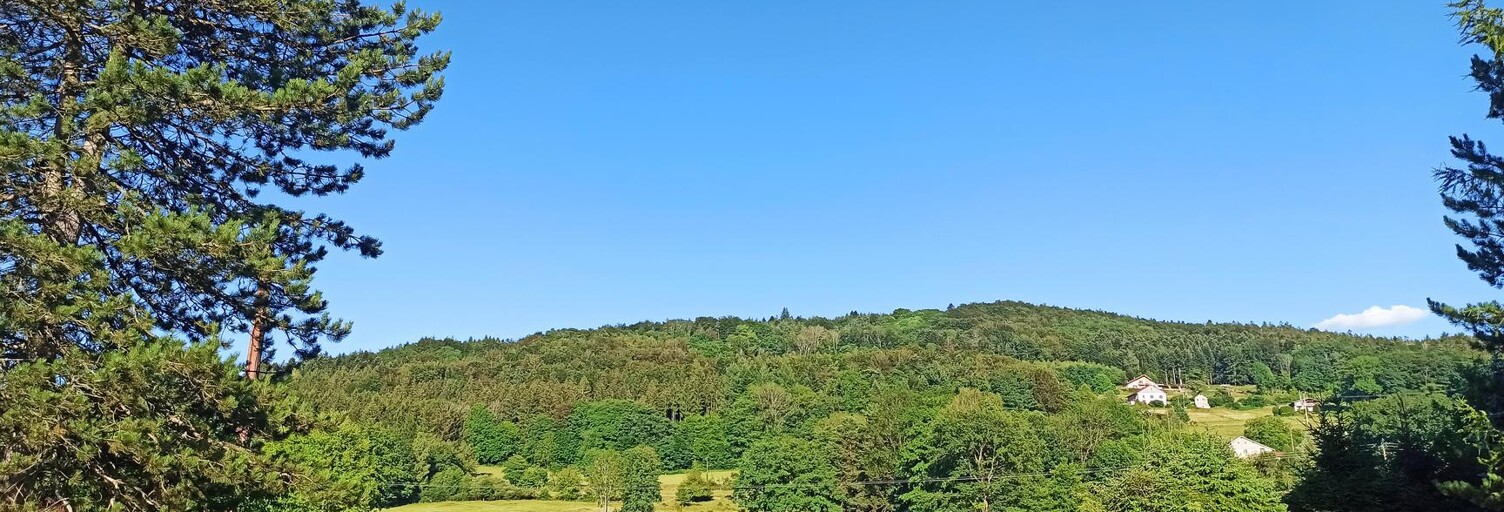 Terrain  1500 m² à vendre à Tendon (88460)