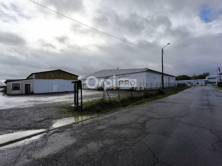 LOCAL D'ACTIVITE A LOUER — photo 1