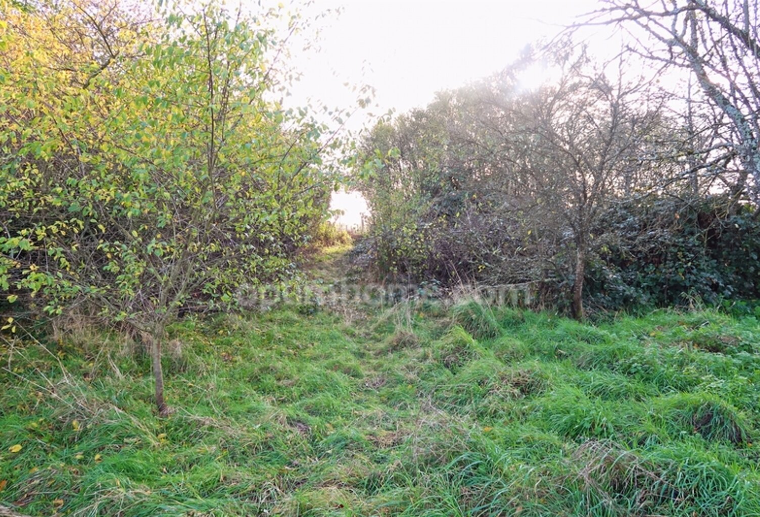 TERRAIN A VENDRE A VELAINE SOUS AMANCE — photo 1