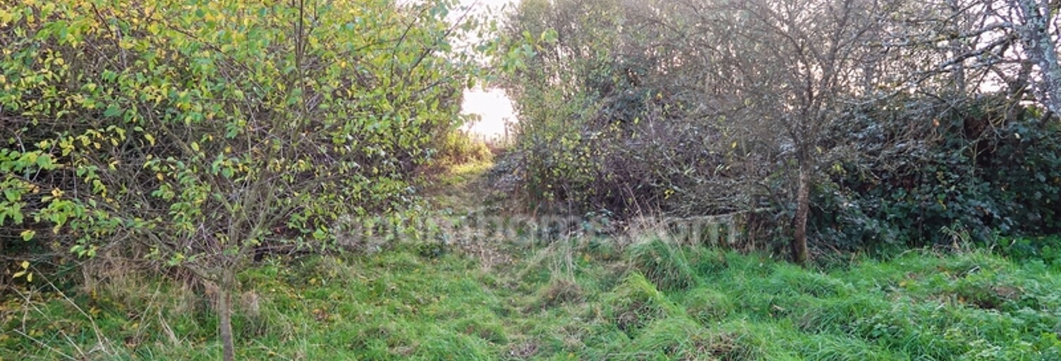 Terrain  1170 m² à vendre à Velaine-sous-Amance (54280)