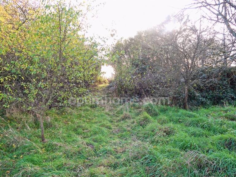 TERRAIN A VENDRE A VELAINE SOUS AMANCE — photo 1