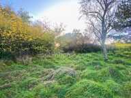 TERRAIN A VENDRE A VELAINE SOUS AMANCE — photo 2