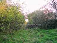 TERRAIN A VENDRE A VELAINE SOUS AMANCE — photo 3