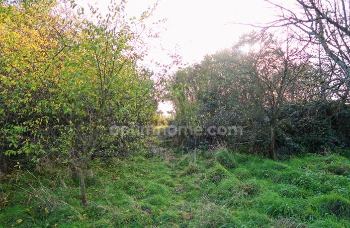 TERRAIN A VENDRE A VELAINE SOUS AMANCE — photo 3