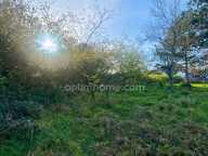 TERRAIN A VENDRE A VELAINE SOUS AMANCE — photo 4