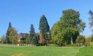 Maison 8 Pièces 222 m² à vendre à Gevrey-Chambertin (21220)