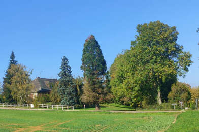 Maison 8 pièces 399000 €