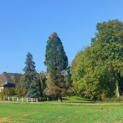 Maison 8 pièces 430000 €