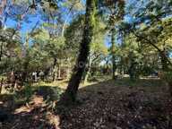 Terrain à bâtir — photo 2