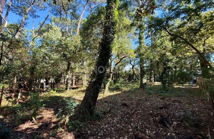 Terrain à bâtir — photo 2