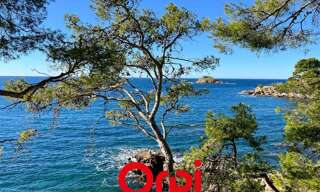 Appartement 4 Pièces 72 m² à vendre à Bandol (83150)