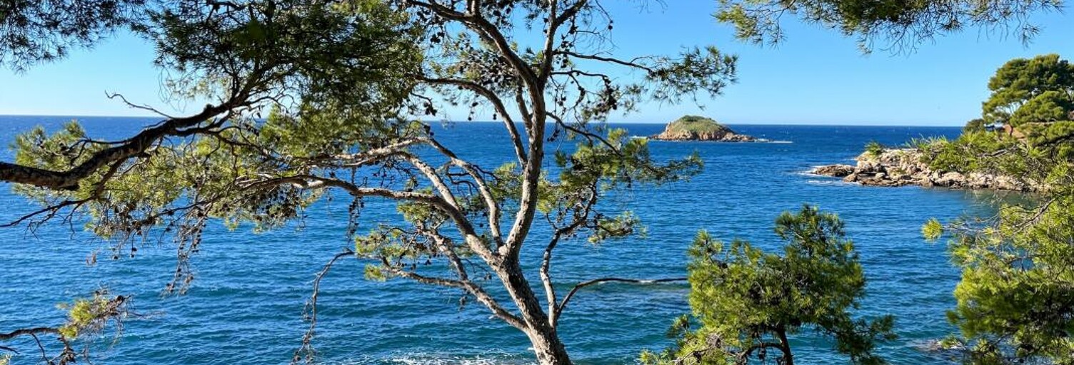 Appartement 4 Pièces 72 m² à vendre à Bandol (83150)