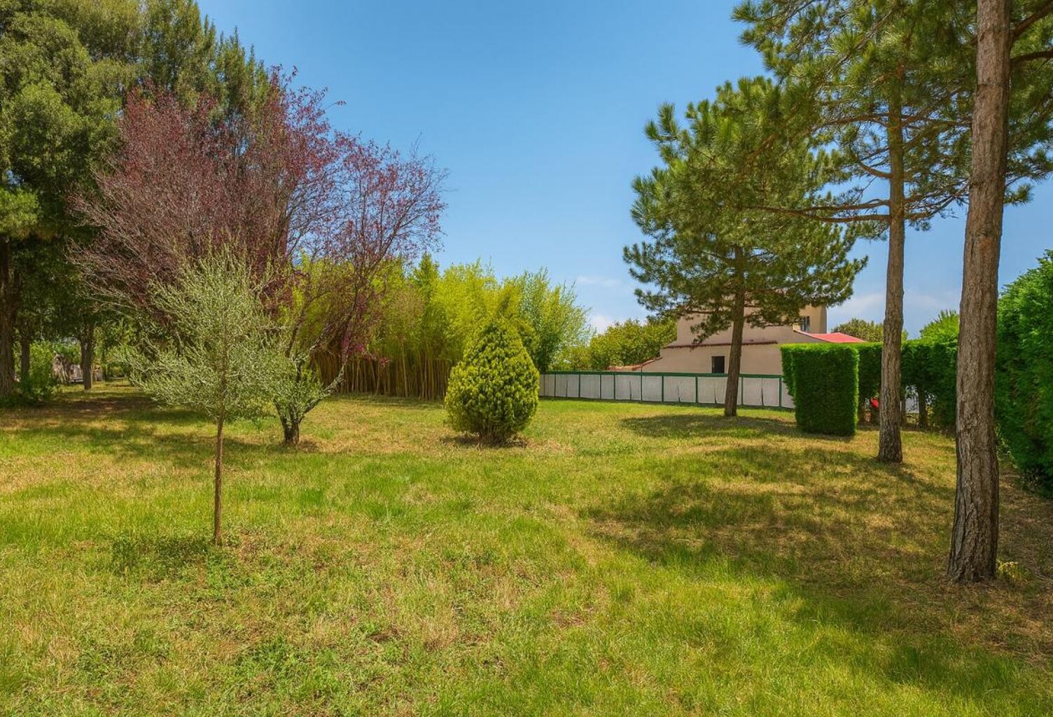 À vendre – Terrain à bâtir de 556 m², libre de constructeur – environnement calme et privilégié — photo 1