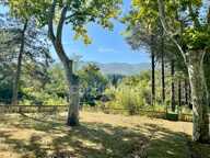 Maison de Maître de Prestige dans le Luberon — photo 4