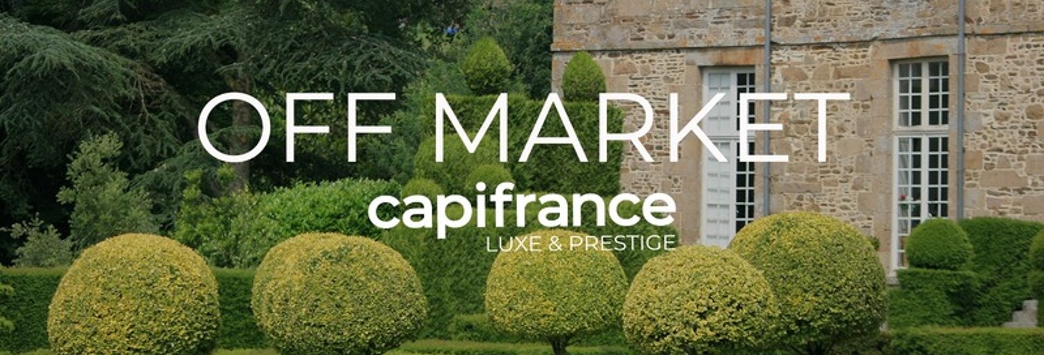 Maison 11 Pièces 400 m² à vendre à Saint-Roch (37390)