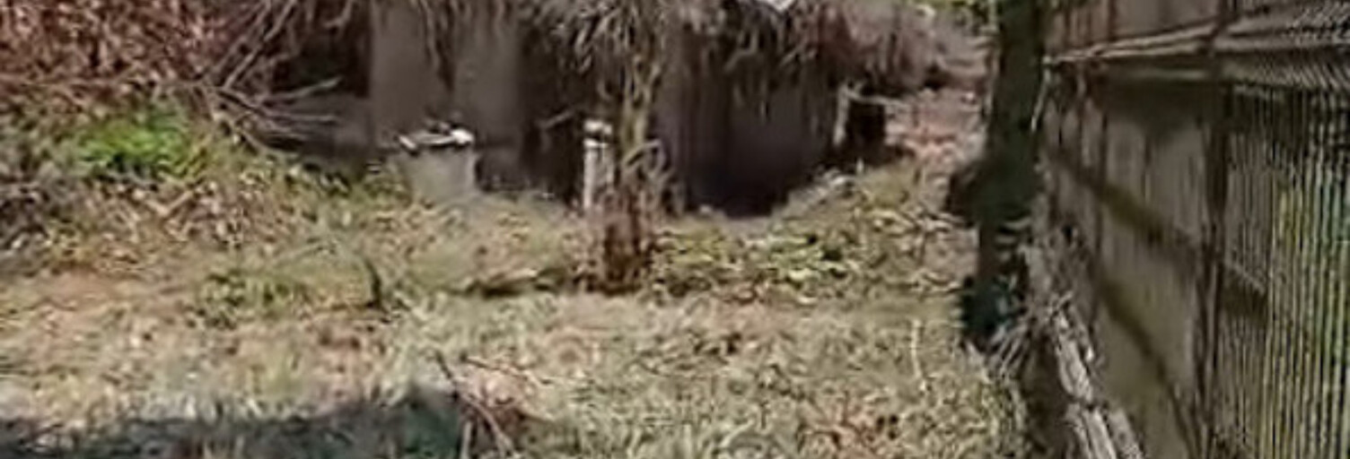 Maison 4 Pièces 75 m² à vendre à Rémire-Montjoly (97354)