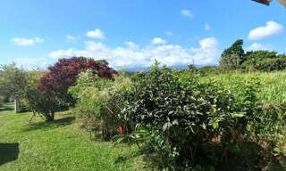 Maison 4 Pièces 103 m² à vendre à Petit-Bourg (97170)