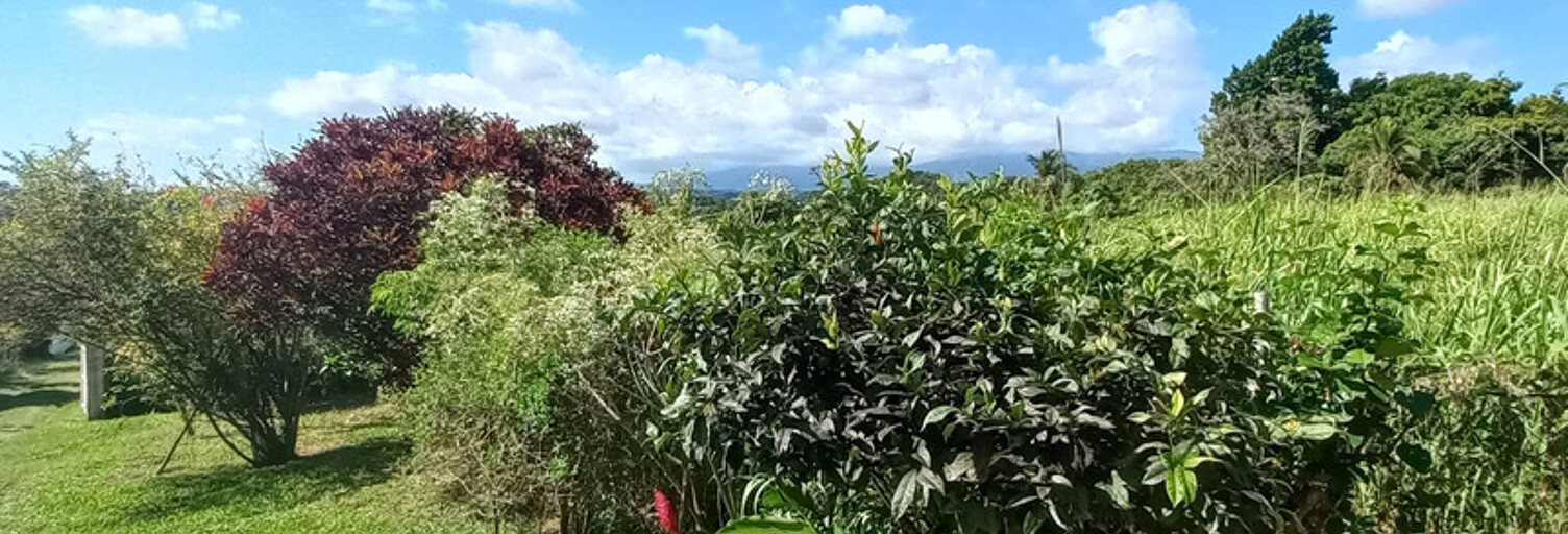 Maison 4 Pièces 103 m² à vendre à Petit-Bourg (97170)