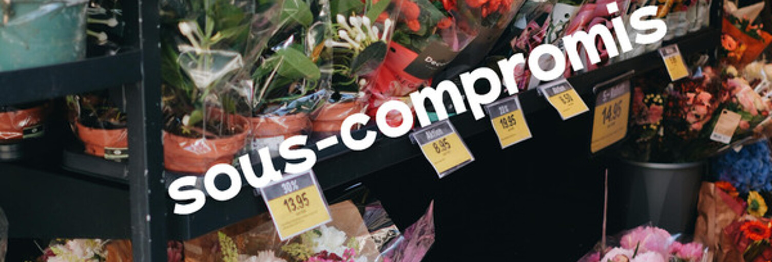 Commerce 2 Pièces 171 m² à vendre à Montigny-en-Ostrevent (59182)