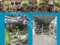Fonds de commerce à vendre MONTIGNY EN OSTREVENT (59) — photo 2